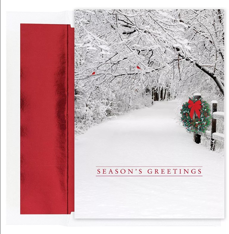 Masterpiece Cards Snow Scene Holiday Boxed Cards